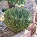 Prodaja apartmana na Korčuli – južna strana, drugi red od mora - prodaja apartmana na korculi juzna strana drugi red od mora stagliari 12 150x150
