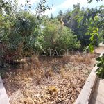 Prodaja kuća u centru Blata - otok Korčula - prodaja kuca u centru blata otok korcula stagliari 10 150x150